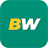 لوگوی BetWinner